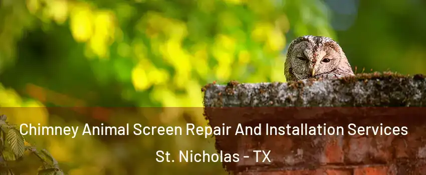 Chimney Animal Screen Repair And Installation Services St. Nicholas - TX