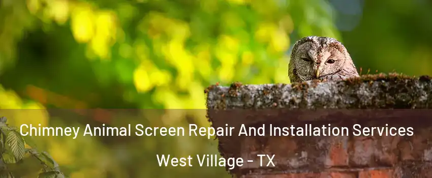 Chimney Animal Screen Repair And Installation Services West Village - TX