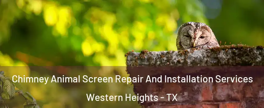 Chimney Animal Screen Repair And Installation Services Western Heights - TX