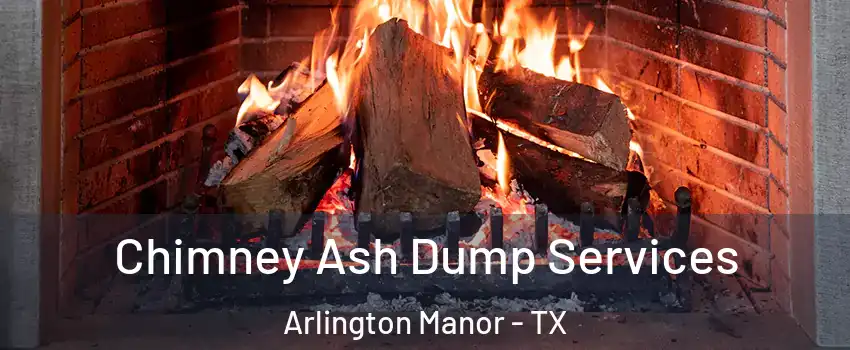 Chimney Ash Dump Services Arlington Manor - TX