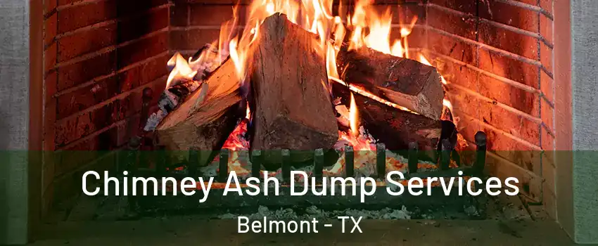 Chimney Ash Dump Services Belmont - TX