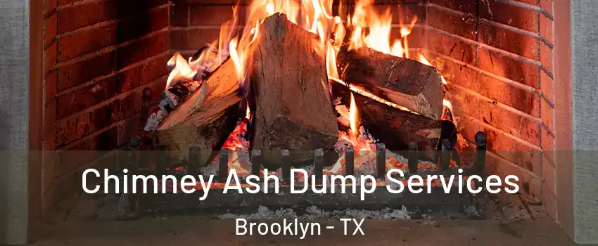 Chimney Ash Dump Services Brooklyn - TX