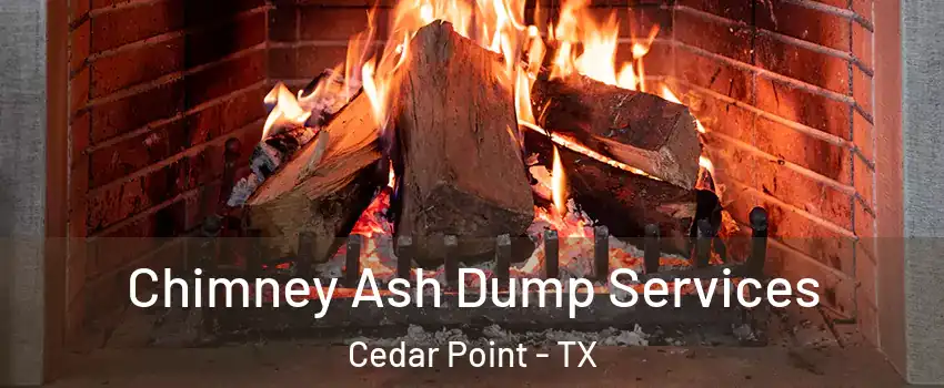 Chimney Ash Dump Services Cedar Point - TX