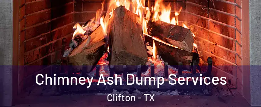 Chimney Ash Dump Services Clifton - TX