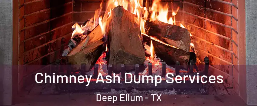 Chimney Ash Dump Services Deep Ellum - TX