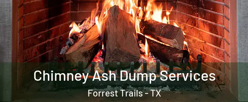 Chimney Ash Dump Services Forrest Trails - TX