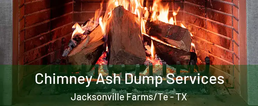 Chimney Ash Dump Services Jacksonville Farms/Te - TX