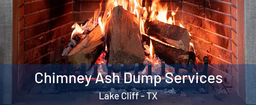 Chimney Ash Dump Services Lake Cliff - TX