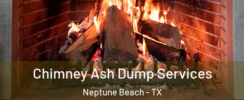 Chimney Ash Dump Services Neptune Beach - TX