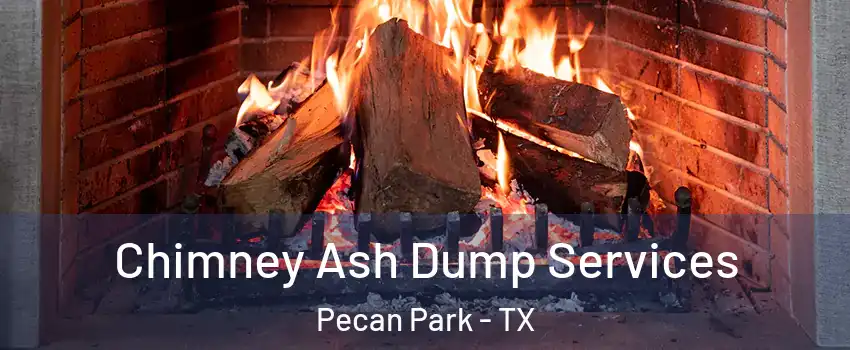 Chimney Ash Dump Services Pecan Park - TX