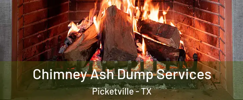 Chimney Ash Dump Services Picketville - TX