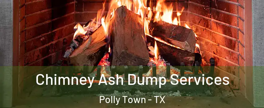 Chimney Ash Dump Services Polly Town - TX