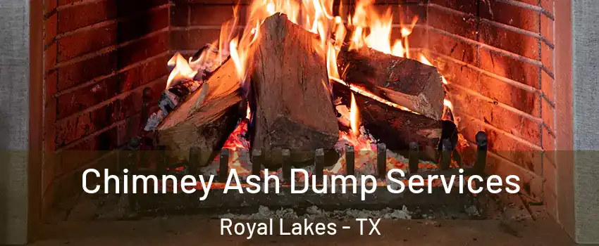 Chimney Ash Dump Services Royal Lakes - TX