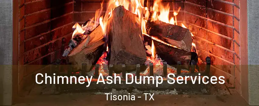 Chimney Ash Dump Services Tisonia - TX