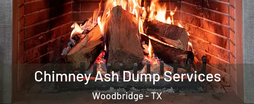 Chimney Ash Dump Services Woodbridge - TX