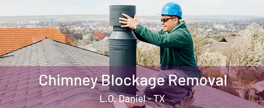 Chimney Blockage Removal L.O. Daniel - TX