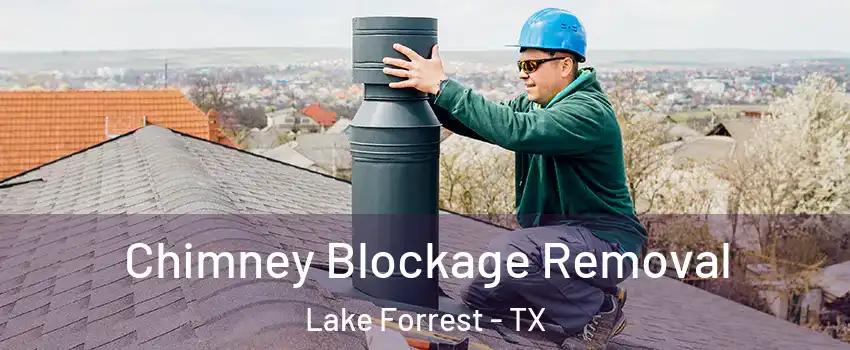 Chimney Blockage Removal Lake Forrest - TX