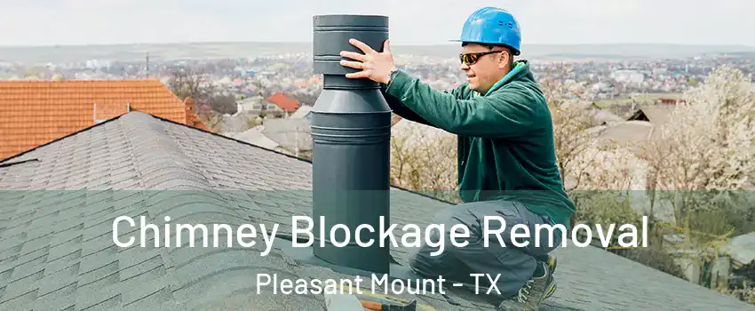 Chimney Blockage Removal Pleasant Mount - TX