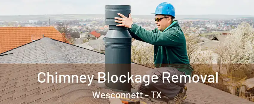 Chimney Blockage Removal Wesconnett - TX