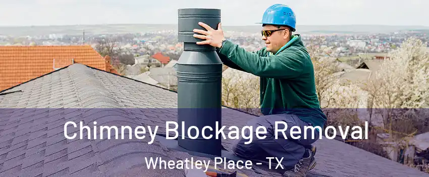 Chimney Blockage Removal Wheatley Place - TX