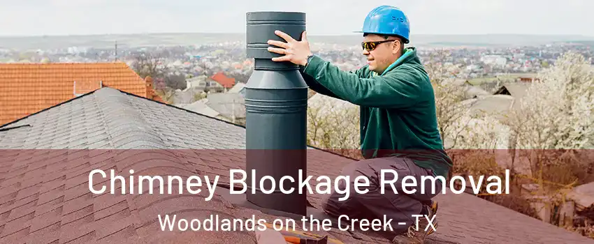 Chimney Blockage Removal Woodlands on the Creek - TX