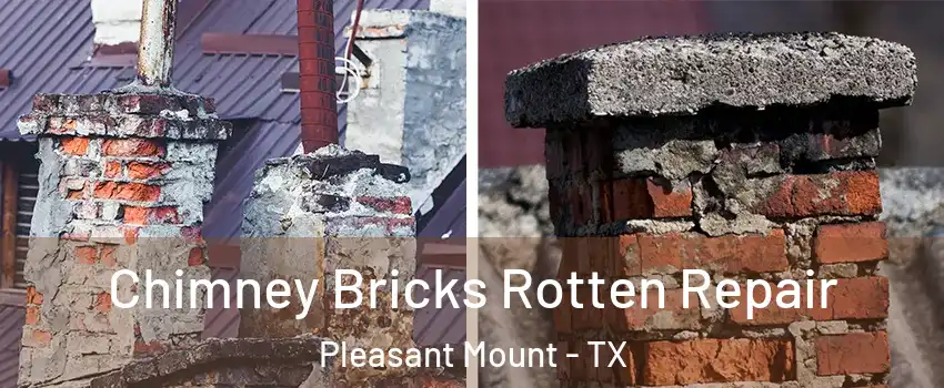 Chimney Bricks Rotten Repair Pleasant Mount - TX