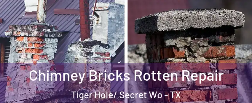 Chimney Bricks Rotten Repair Tiger Hole/ Secret Wo - TX