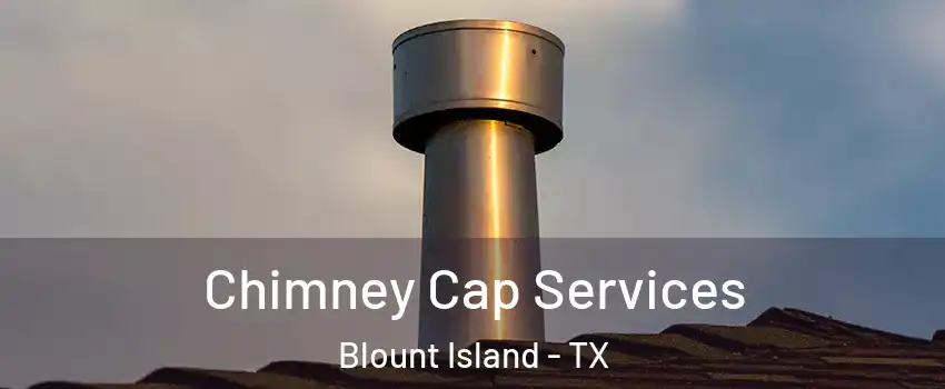 Chimney Cap Services Blount Island - TX