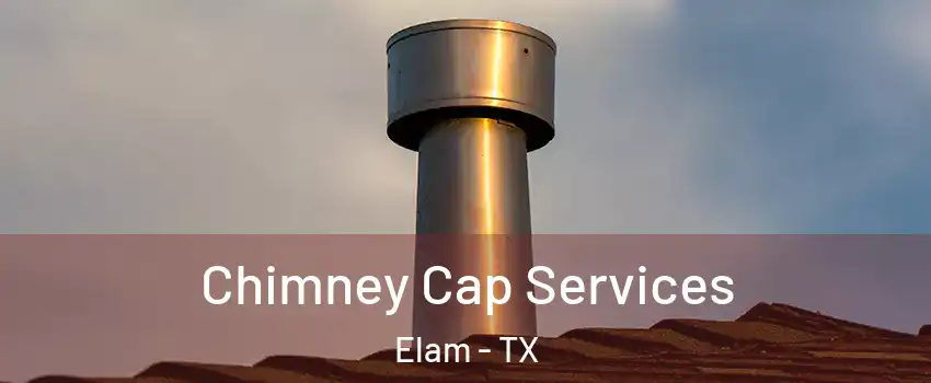 Chimney Cap Services Elam - TX