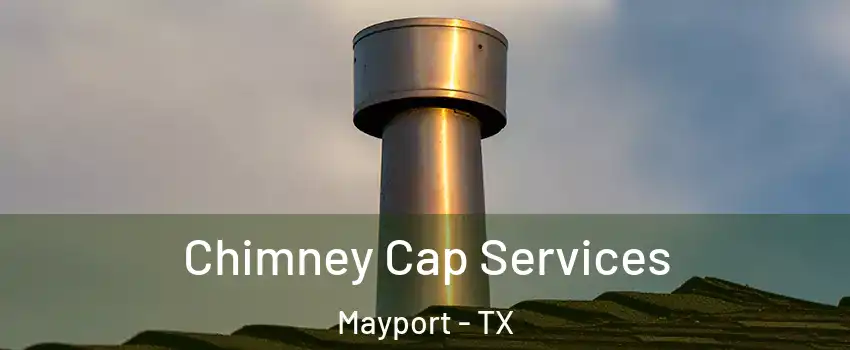 Chimney Cap Services Mayport - TX