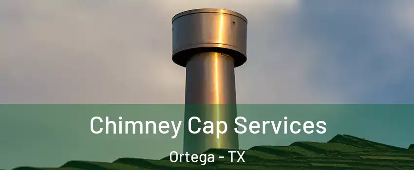 Chimney Cap Services Ortega - TX