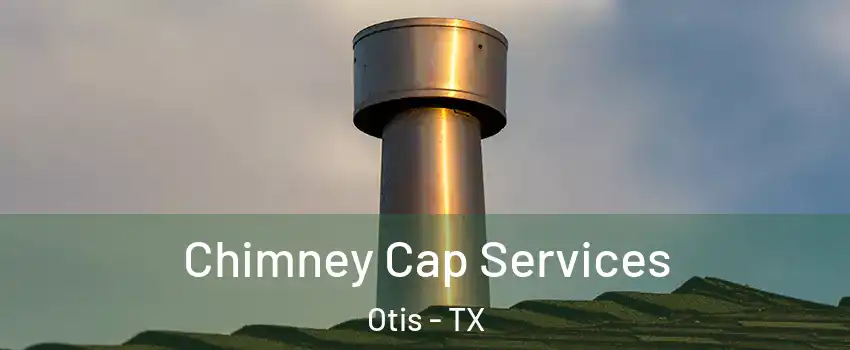 Chimney Cap Services Otis - TX