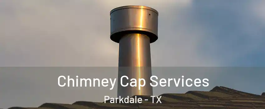 Chimney Cap Services Parkdale - TX