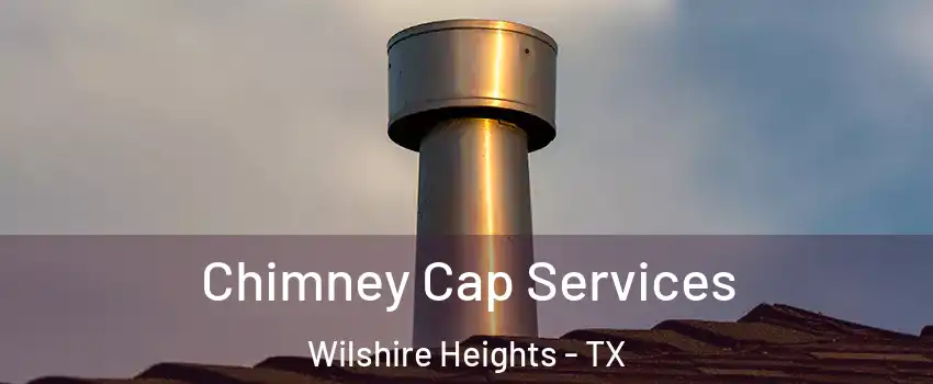 Chimney Cap Services Wilshire Heights - TX