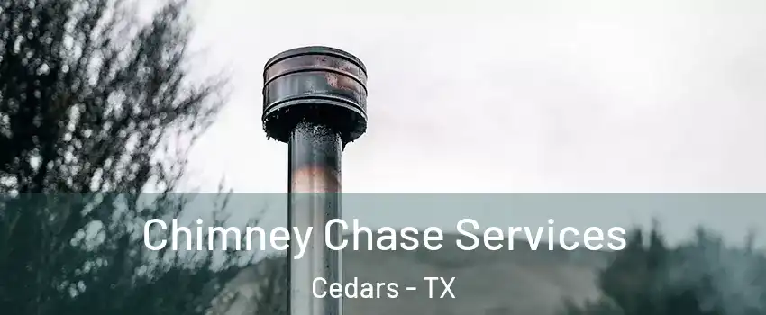 Chimney Chase Services Cedars - TX