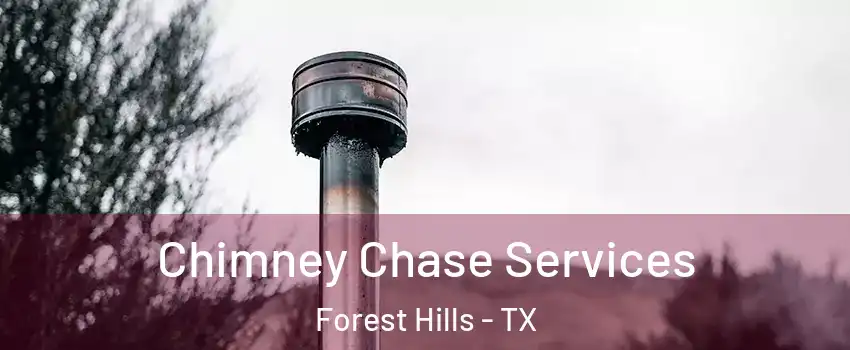 Chimney Chase Services Forest Hills - TX