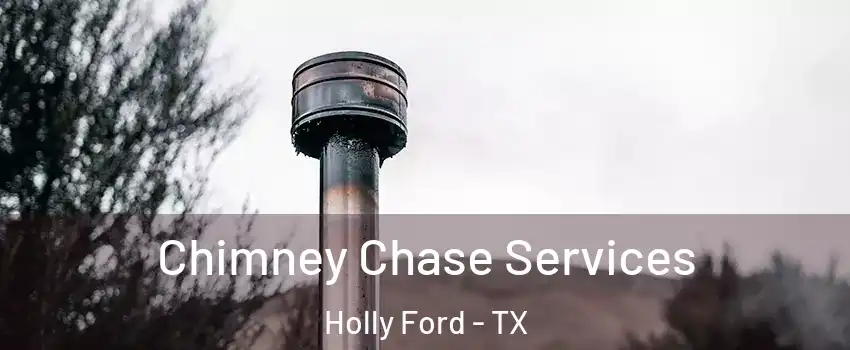 Chimney Chase Services Holly Ford - TX