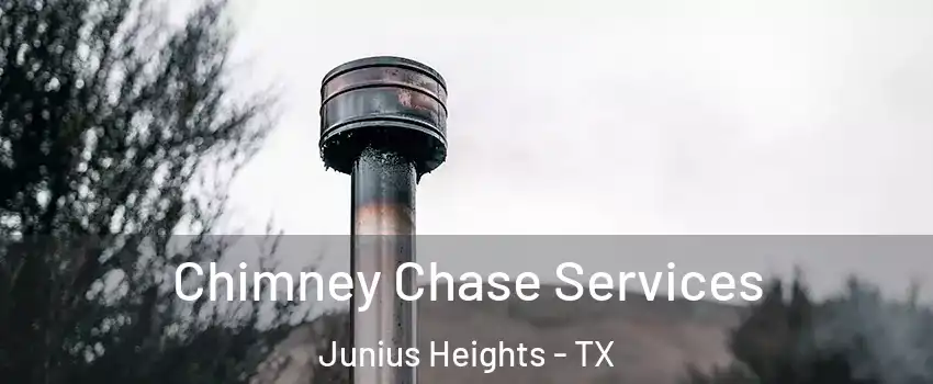 Chimney Chase Services Junius Heights - TX