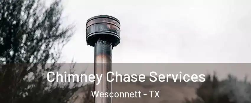 Chimney Chase Services Wesconnett - TX