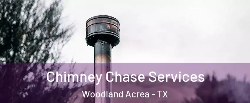 Chimney Chase Services Woodland Acrea - TX