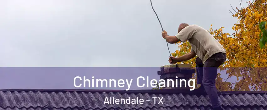 Chimney Cleaning Allendale - TX