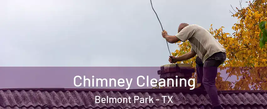 Chimney Cleaning Belmont Park - TX