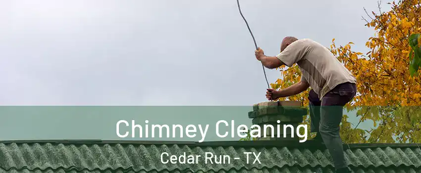 Chimney Cleaning Cedar Run - TX