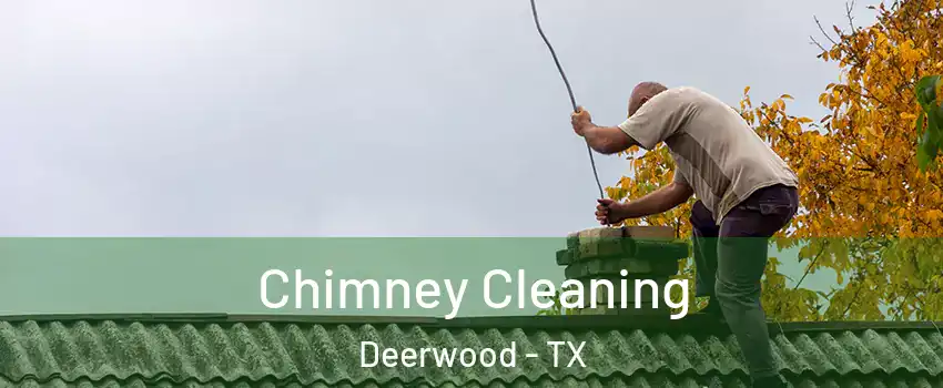 Chimney Cleaning Deerwood - TX