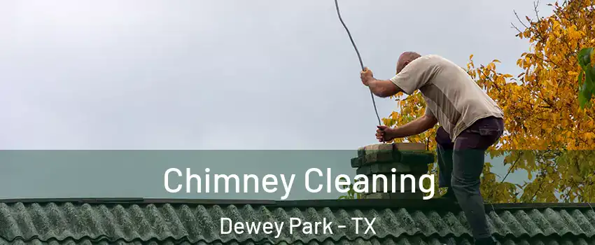 Chimney Cleaning Dewey Park - TX