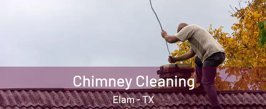 Chimney Cleaning Elam - TX