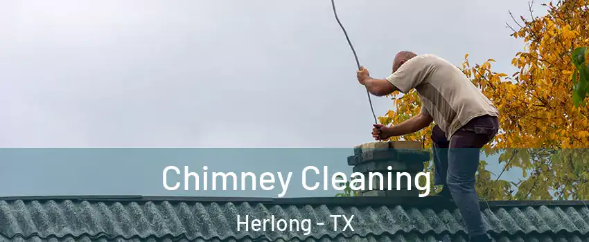 Chimney Cleaning Herlong - TX