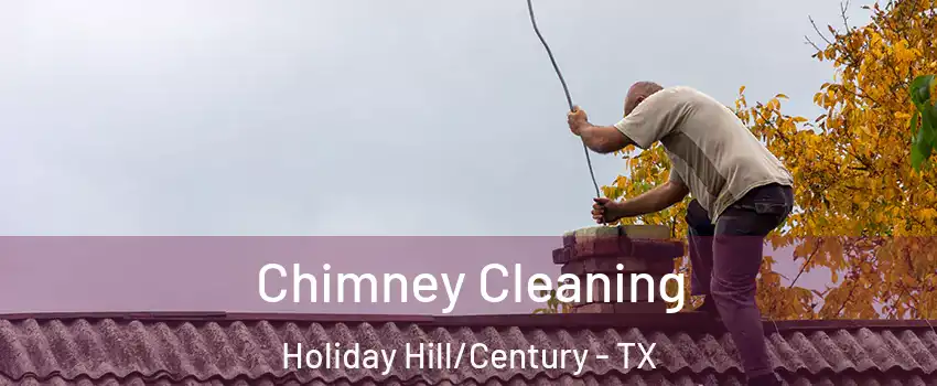 Chimney Cleaning Holiday Hill/Century - TX