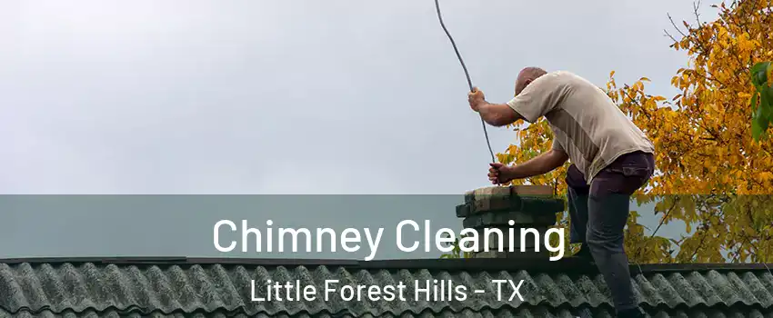 Chimney Cleaning Little Forest Hills - TX