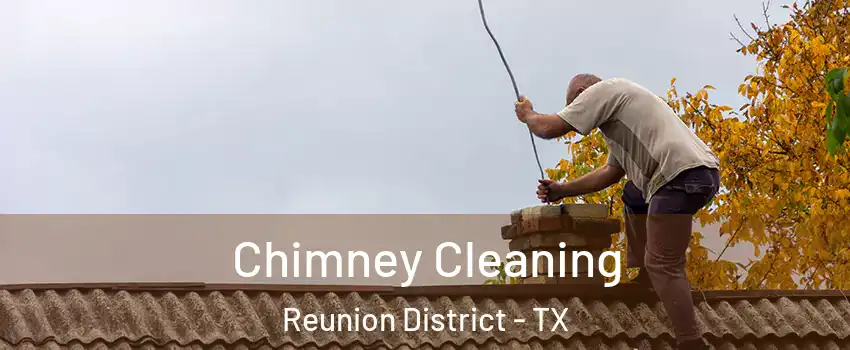 Chimney Cleaning Reunion District - TX